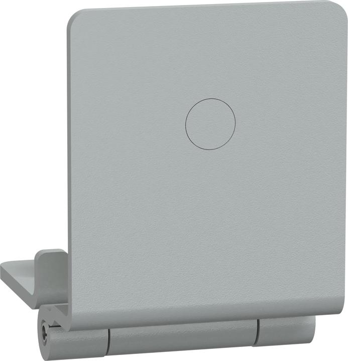 Actual product image Schneider Electric Door Hinges (Set)