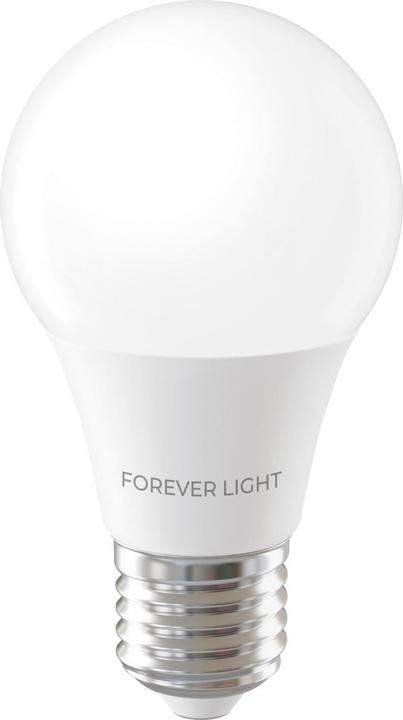 Actual product image Forever Light LED Bulb E27 A60 7W 806lm 6000K class E (E27, 806 lm, 1 x)