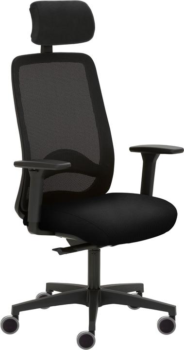 Immagine prodotto Avita (48 - 59 cm)