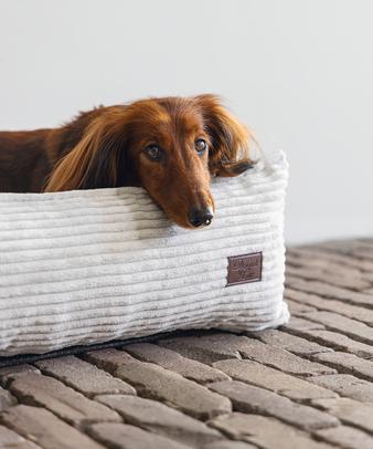 Actual product image Designed by Lotte Lounger bed Ribbed (Dog)