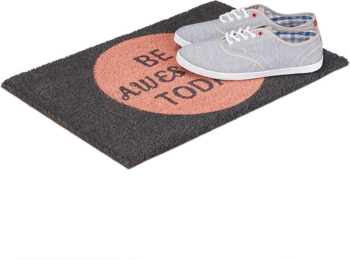 Image du produit Relaxdays Paillasson (60 x 40 x 1,5 cm)