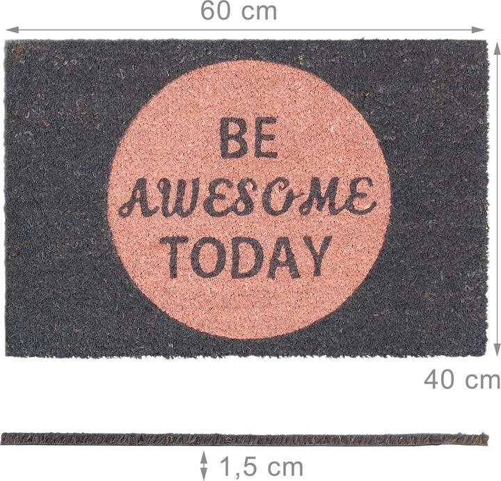Image du produit Relaxdays Paillasson (60 x 40 x 1,5 cm)