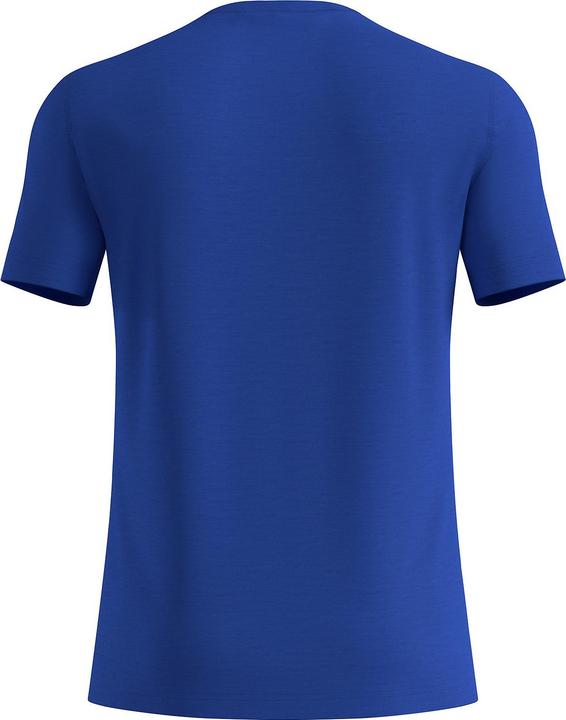 Actual product image Odlo MERINO 160 (S)