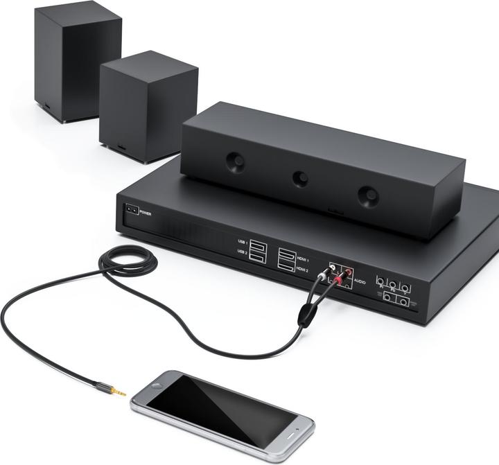 Actual product image deleyCON Audio Cable - 3,5mm (0.50 m, AUX cable, Cinch Cables)