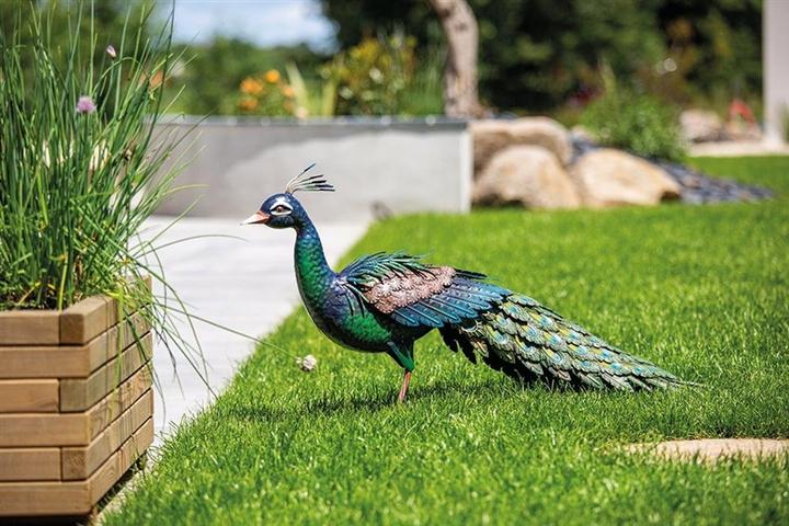 Produktbild Nenurodyta Garden decoration "Peacock", 94 cm x 28 cm x 52 cm