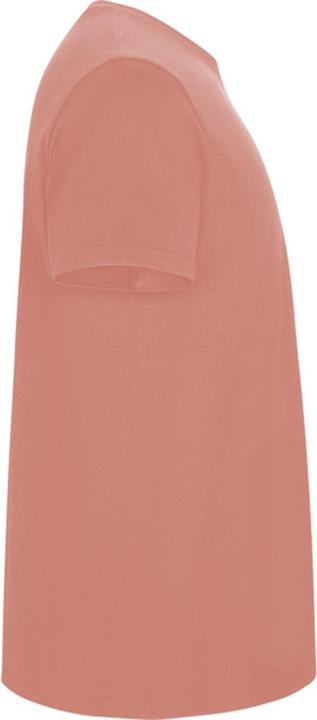 Produktbild Alpinia Stafford TShirt