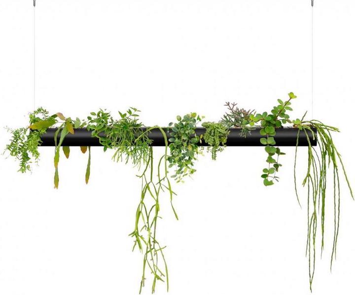 Actual product image Pendularis Set 1.0 Royal (Black) (100 cm)