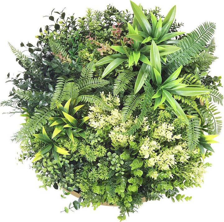 Actual product image Ozaia Boisi