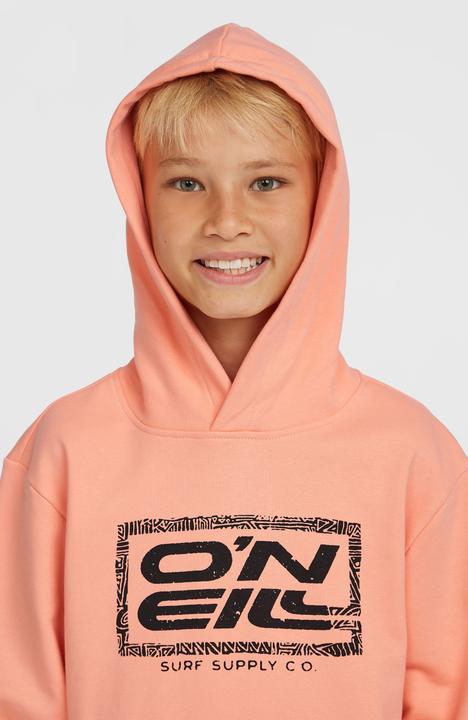 Image du produit O'Neill Logo Hoodie (164)