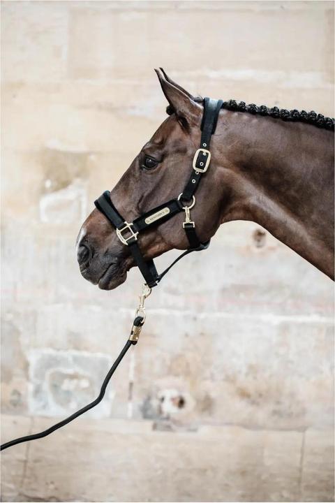 Produktbild Kentucky Horsewear Samthalfter