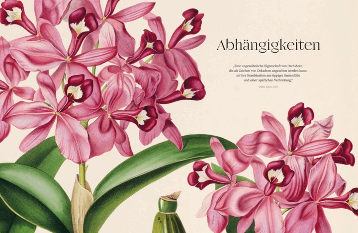 Actual product image Orchideen (German, Sandra Knapp, 2022)