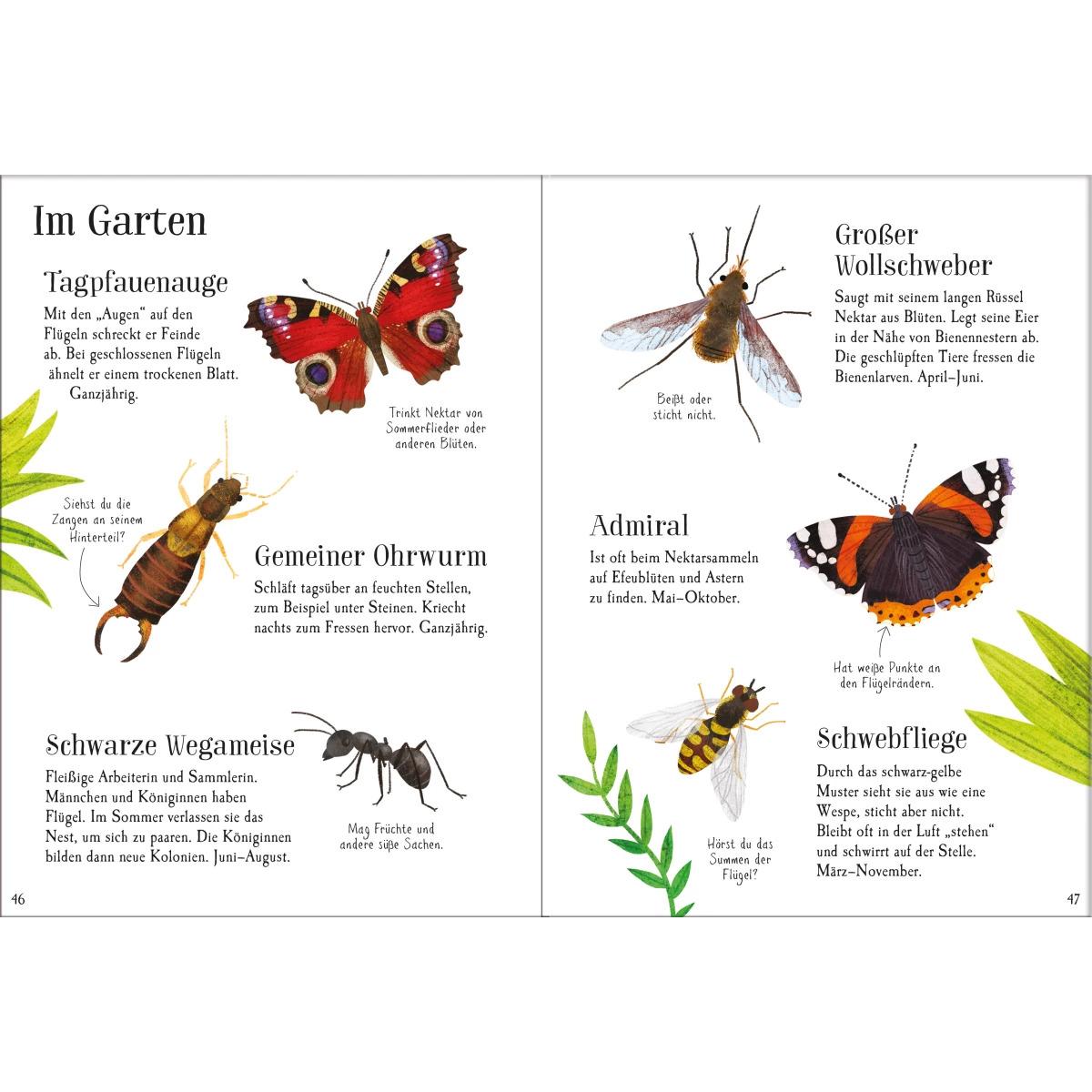Thumbnail - Mein Usborne-Naturführer, Kinderbücher