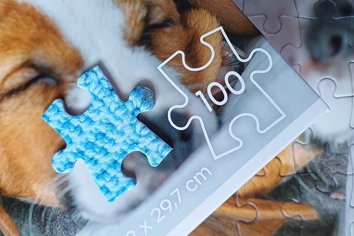 Actual product image Selecta Spielzeug Cute kitten and sleepy dog jigsaw puzzle, 100 pieces. (100 pieces)