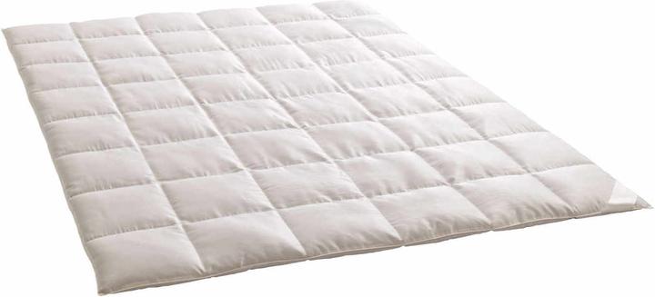 Actual product image Dauny Eider Caro Seiden-Daunendecke (160 x 210 cm)