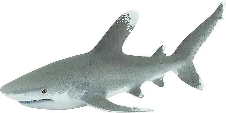 Image du produit Safari Requin océanique à pointe blanche