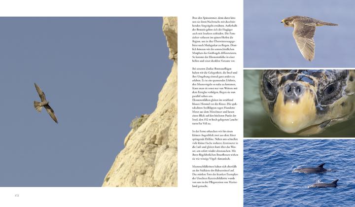 Produktbild Naturerlebnis Mallorca (Deutsch, Gaby Hufler, Norbert Daubner, 2014)