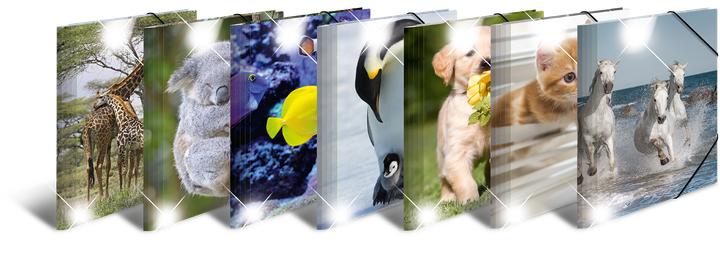 Image du produit HERMA Porte-documents A4 Motif (A4, 10x)