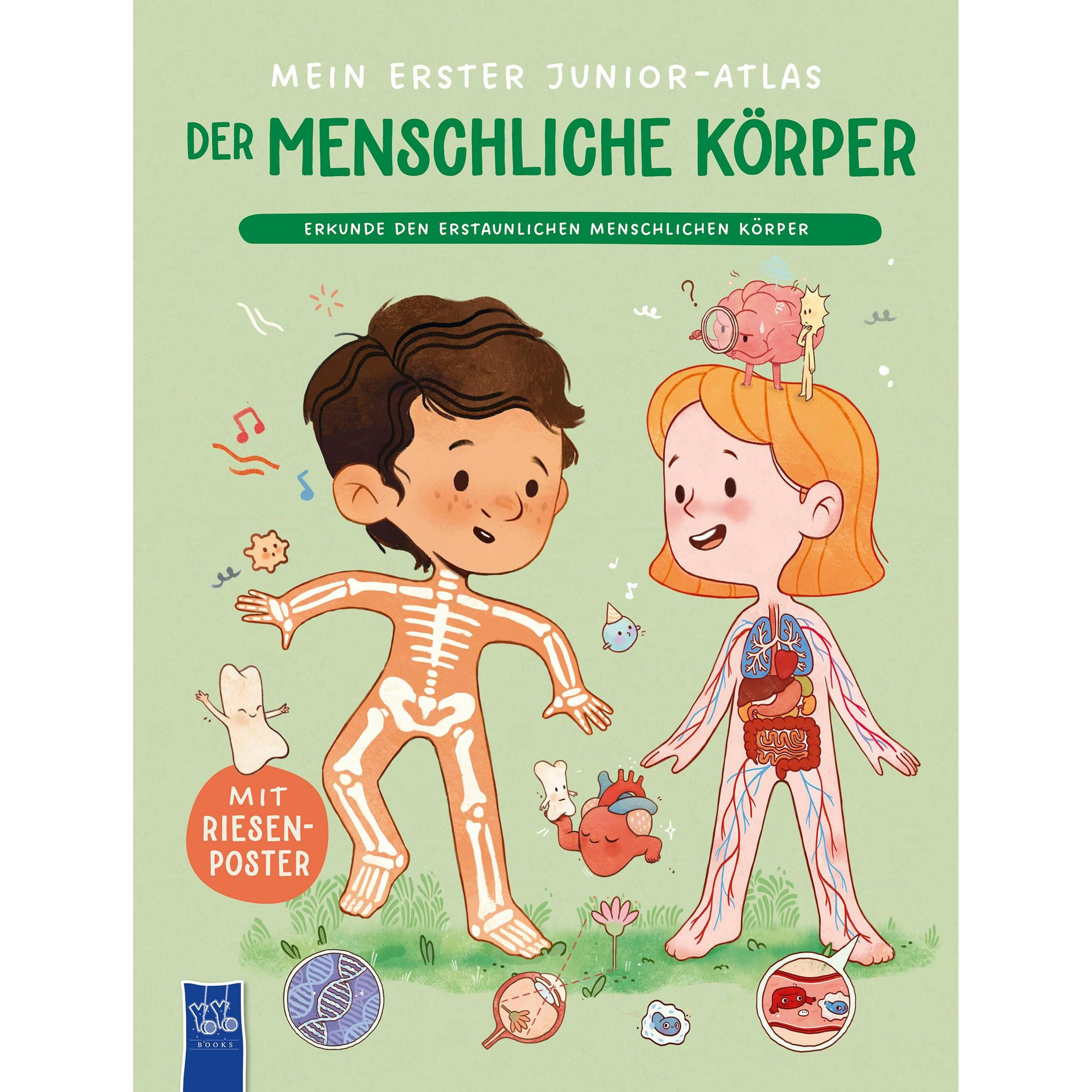 Thumbnail - Mein erster Junior-Atlas: Der menschlic, Kinderbücher von Tatiana Kamshilina