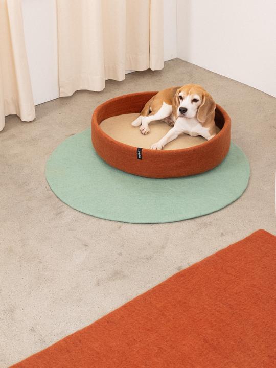Immagine prodotto Myfelt Lora (Cane)