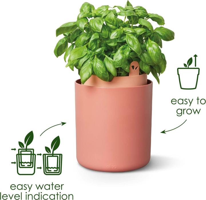 Produktbild Elho Bouncy Basil (17 x 21 cm)