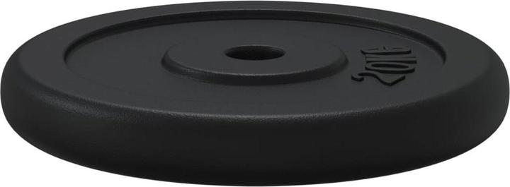 Immagine prodotto vidaXL Hantelscheibe (2 x 20 kg)