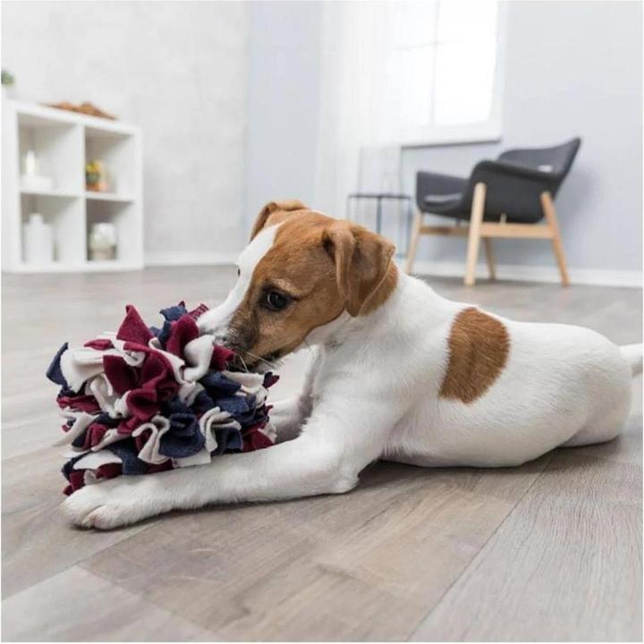Actual product image Trixie Dog Activity Sniffing Ball (Intelligence toy dog)