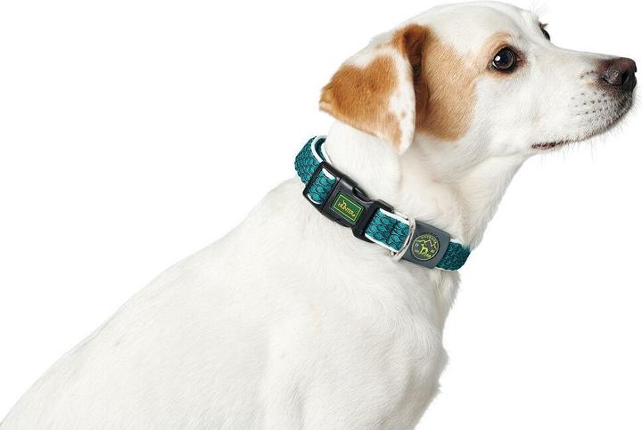 Actual product image Hunter Dog collar Hilo Vario Basic (L, M, Dog, Dog sport, General, Walks)