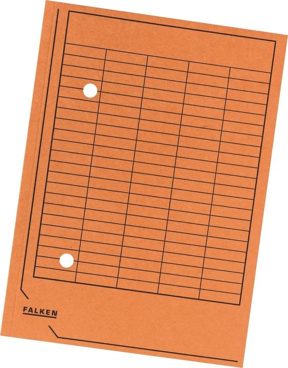 Image du produit Falken Dossier de circulation (A4, 1x)