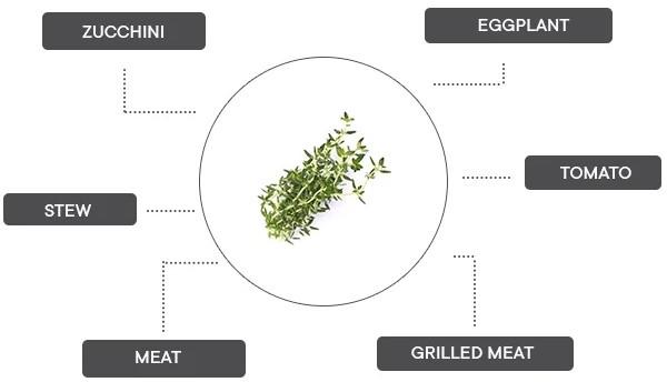 Produktbild Véritable Lingot Thyme - Organic (Kräutersamen)