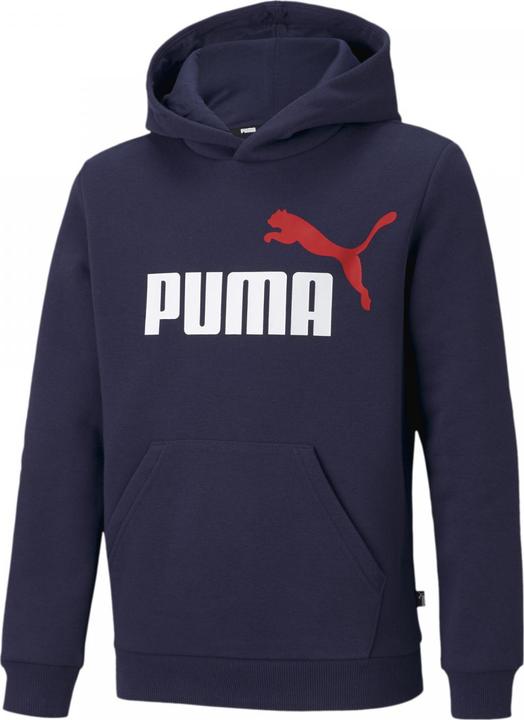 Image du produit Puma Sweat à capuche ESS+ 2 Col Big Logo FL B (164)