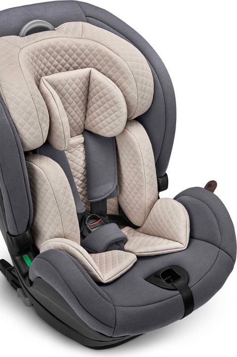 Immagine prodotto ABC Design pioppo tremulo (Seggiolino per bambini, ECE R129/i-Size Standard)