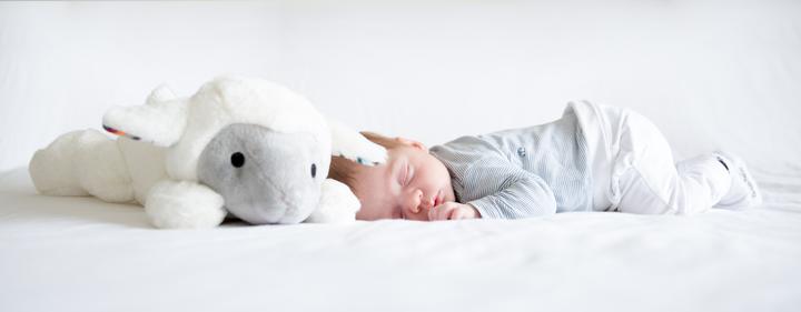 Produktbild ZaZu Dex (32 cm)