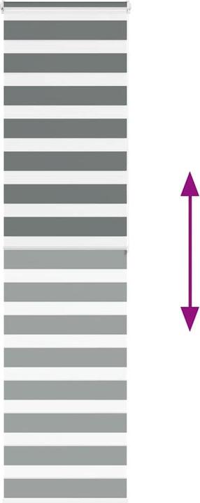 Produktbild vidaXL Zebra-Jalousie (65 x 200 cm)