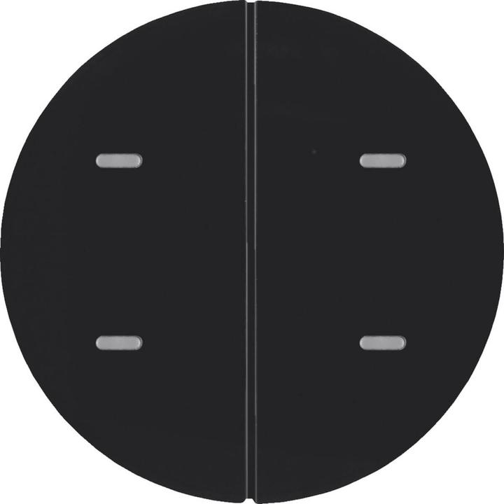 Actual product image Berker 80162865