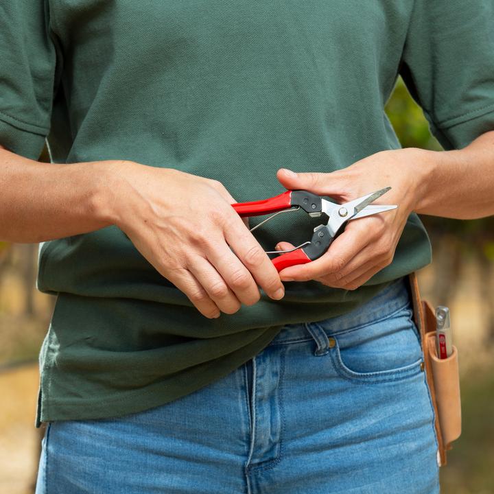 Immagine prodotto Felco 321 Cesoie per la raccolta e la lettura