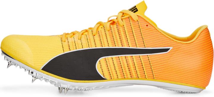 Actual product image Puma evoSPEED TOKYO BRUSH 4 (37)