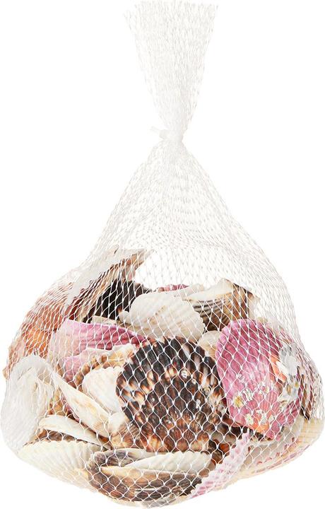 Actual product image Viana Herzmuscheln leer Dekomaterial