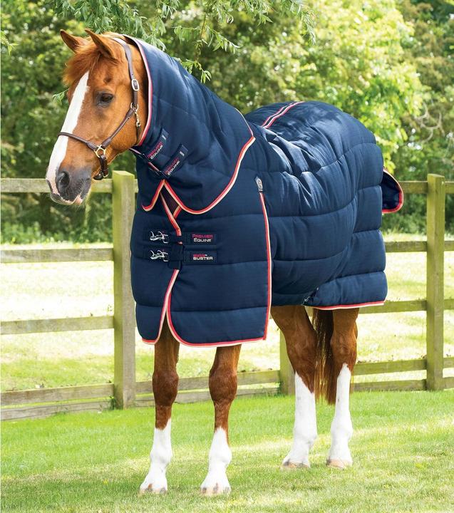 Produktbild Premier Equine Stable Buster 200g (152 cm)
