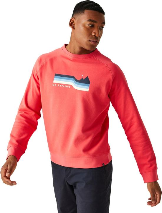 Produktbild Regatta Nithsdale Sweatshirt Rundhalsausschnitt (XXL)