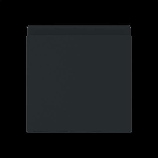 Black RAL number (similar): 9005