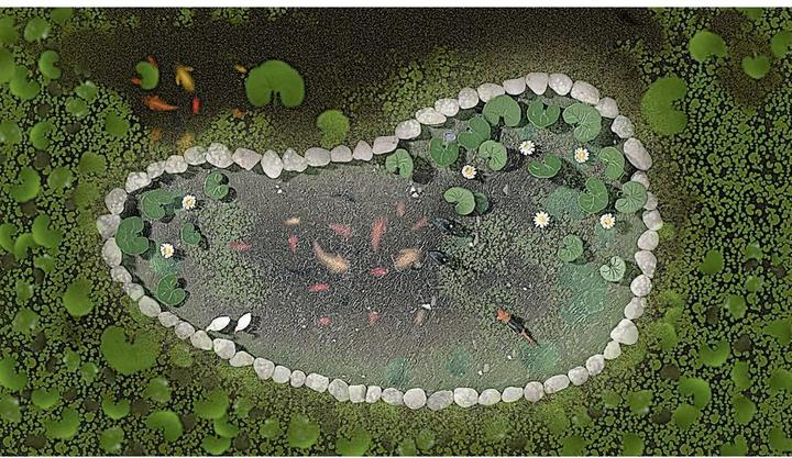 Produktbild Busch Gartenteich-Set 1 Set 1210