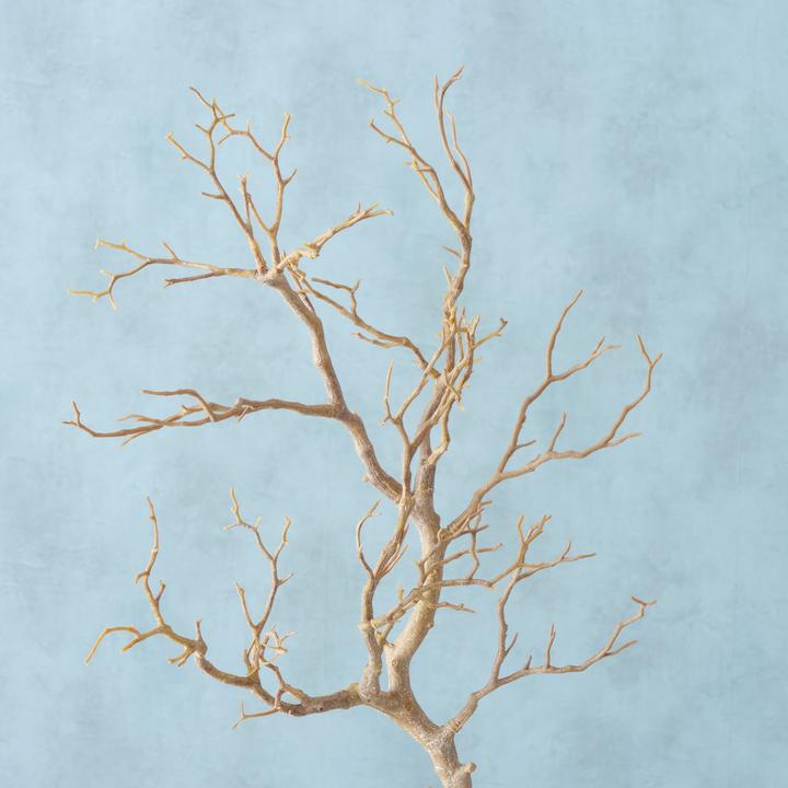 Image du produit Boltze Home Branche décorative