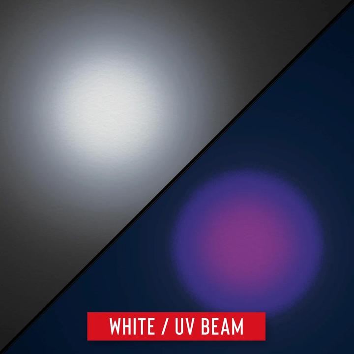 Immagine prodotto Coast PX300 lampada a mano con luce bianca Luce UV 150 lumen (13.50 cm, 150 lm)