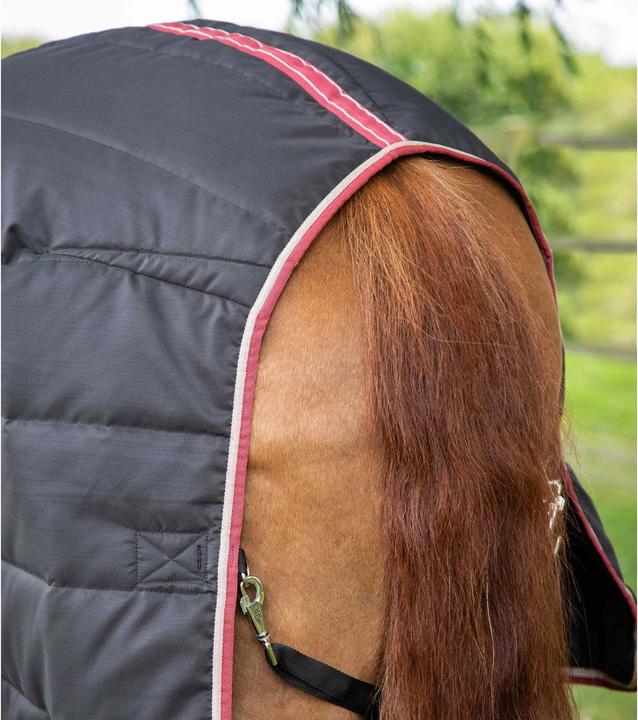 Produktbild Premier Equine Garissa 100 g (206 cm)
