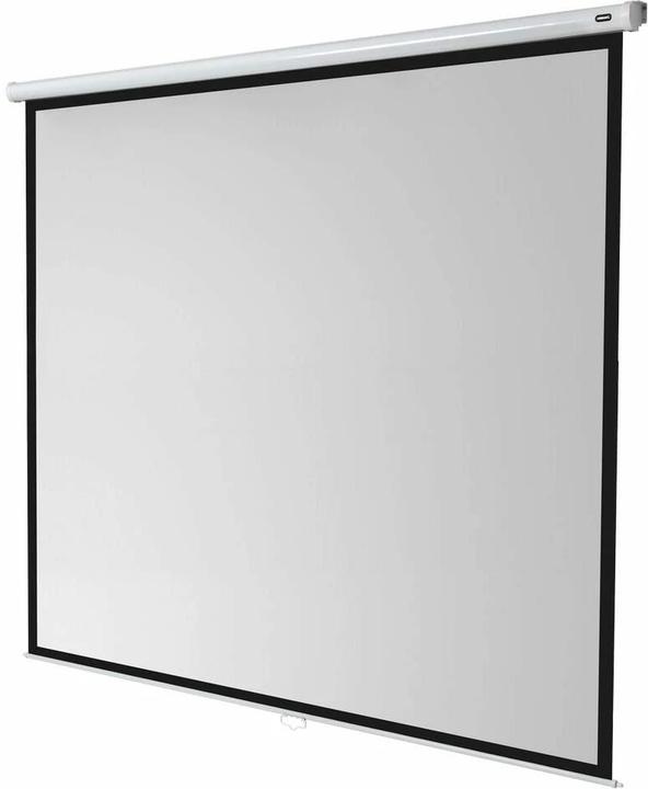 Actual product image Celexon Rollo Economy, Canvas, 1:1 (167", 1:1)