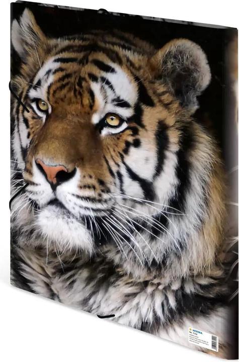 Produktbild HERMA Sammelmappe A3 Motiv (A3, 1x)