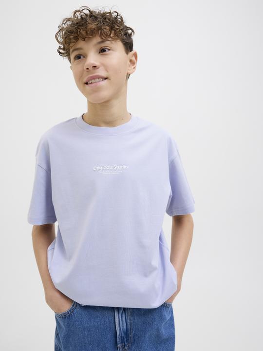 Actual product image Jack & Jones Jorvesterbro Tee Ss Crew Neck Noos Jnr (152)