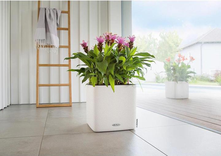 Produktbild Lechuza Cube Cottage (30 cm)
