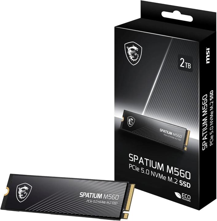 Actual product image MSI Spatium M560 (2000 GB, M.2 2280)