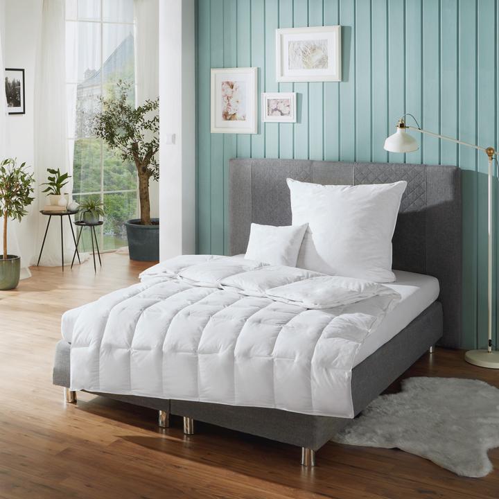 Image du produit Erwin Müller Toronto (135x200 cm)